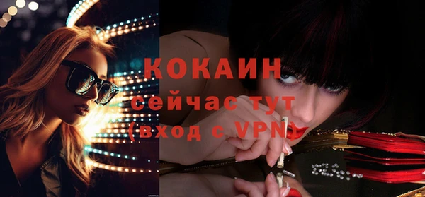 не бодяженный Бородино