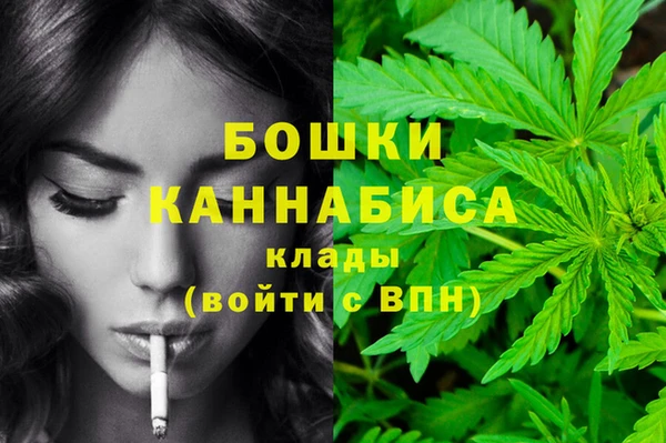не бодяженный Бородино