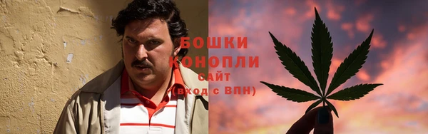 не бодяженный Бородино