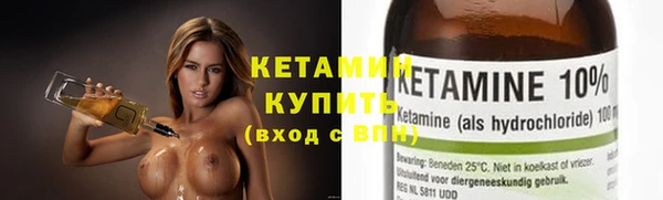 крисы Бронницы