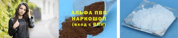 не бодяженный Бородино
