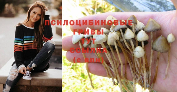 не бодяженный Бородино