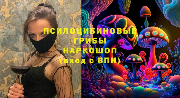 крисы Бронницы