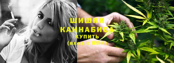 не бодяженный Бородино