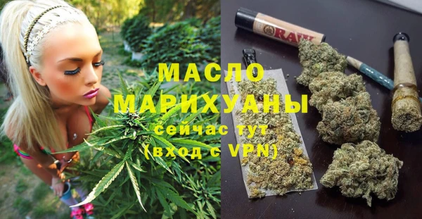 крисы Бронницы