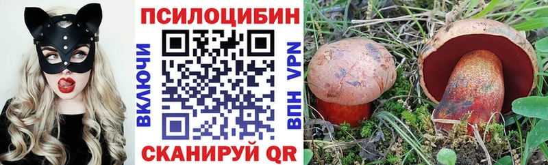 Галлюциногенные грибы ЛСД  купить закладку  Невель 